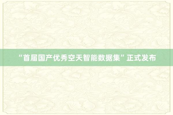 “首届国产优秀空天智能数据集”正式发布