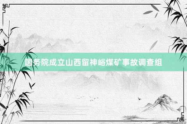 国务院成立山西留神峪煤矿事故调查组