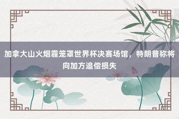 加拿大山火烟霾笼罩世界杯决赛场馆，特朗普称将向加方追偿损失