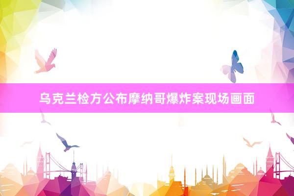 乌克兰检方公布摩纳哥爆炸案现场画面