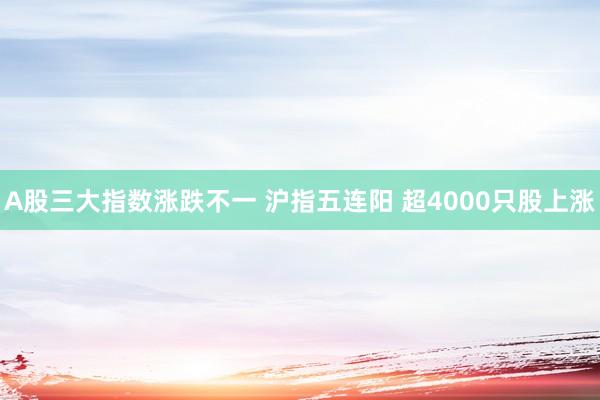 A股三大指数涨跌不一 沪指五连阳 超4000只股上涨