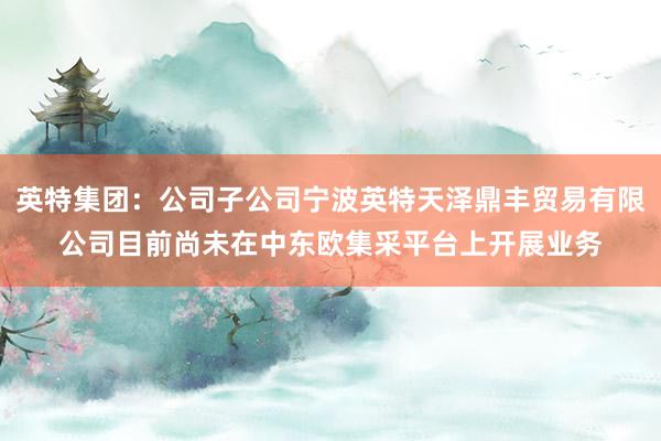 英特集团：公司子公司宁波英特天泽鼎丰贸易有限公司目前尚未在中东欧集采平台上开展业务