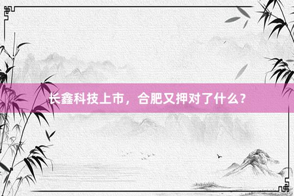 长鑫科技上市，合肥又押对了什么？