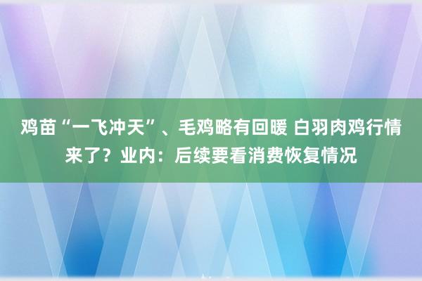 鸡苗“一飞冲天”、毛鸡略有回暖 白羽肉鸡行情来了？业内：后续要看消费恢复情况