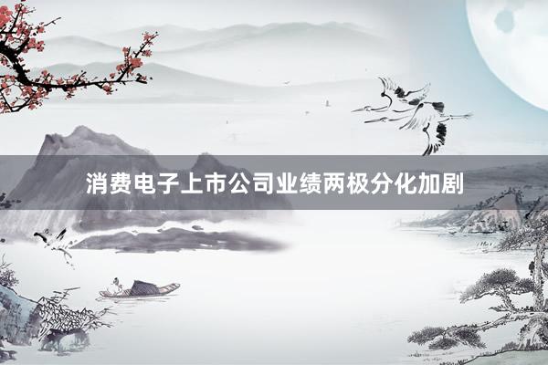 消费电子上市公司业绩两极分化加剧
