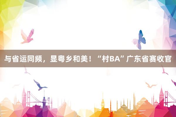 与省运同频，显粤乡和美！“村BA”广东省赛收官