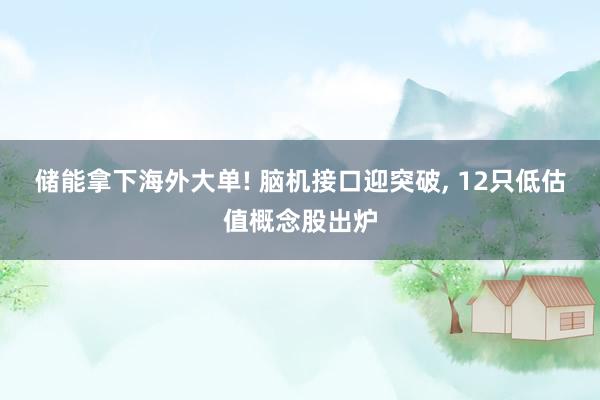 储能拿下海外大单! 脑机接口迎突破, 12只低估值概念股出炉