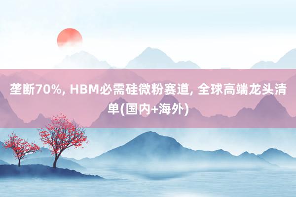 垄断70%, HBM必需硅微粉赛道, 全球高端龙头清单(国内+海外)