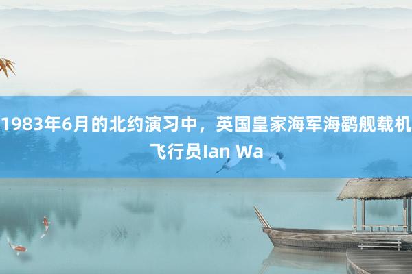1983年6月的北约演习中，英国皇家海军海鹞舰载机飞行员Ian Wa