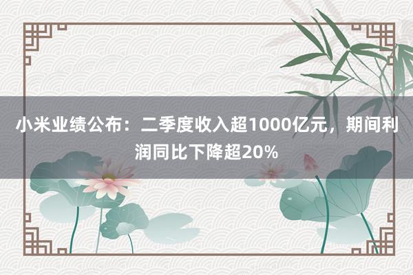 小米业绩公布：二季度收入超1000亿元，期间利润同比下降超20%