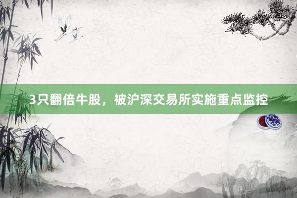 3只翻倍牛股，被沪深交易所实施重点监控