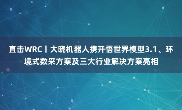 直击WRC丨大晓机器人携开悟世界模型3.1、环境式数采方案及三大行业解决方案亮相
