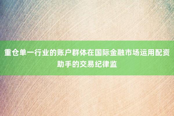 重仓单一行业的账户群体在国际金融市场运用配资助手的交易纪律监