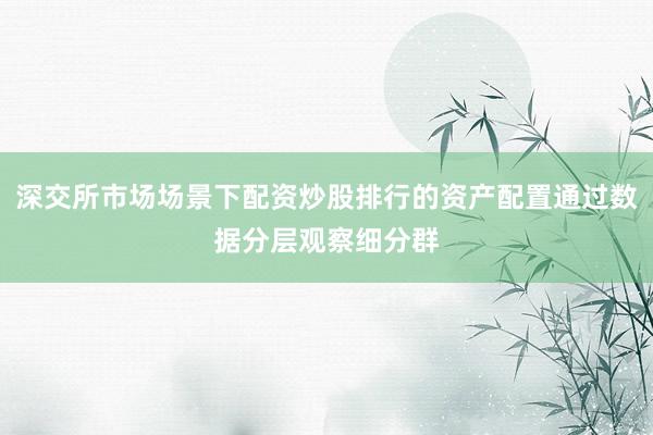 深交所市场场景下配资炒股排行的资产配置通过数据分层观察细分群