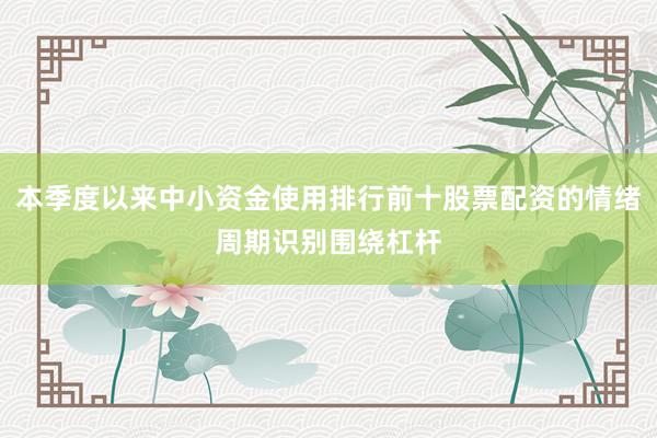 本季度以来中小资金使用排行前十股票配资的情绪周期识别围绕杠杆