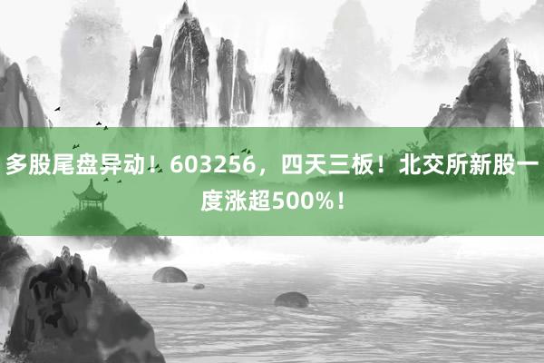 多股尾盘异动！603256，四天三板！北交所新股一度涨超500%！