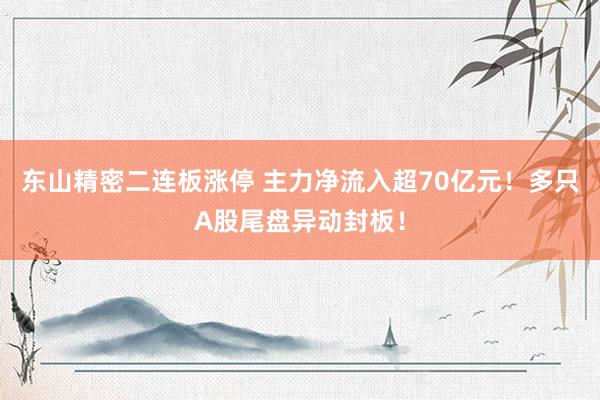 东山精密二连板涨停 主力净流入超70亿元！多只A股尾盘异动封板！