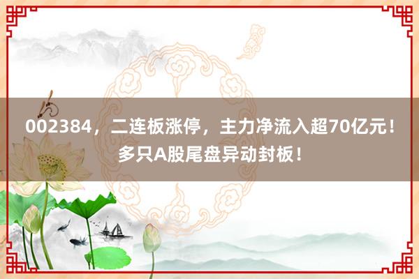 002384，二连板涨停，主力净流入超70亿元！多只A股尾盘异动封板！