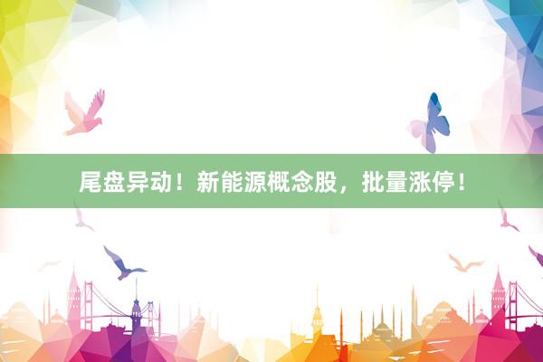 尾盘异动！新能源概念股，批量涨停！