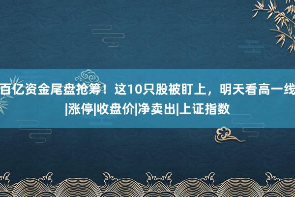 百亿资金尾盘抢筹！这10只股被盯上，明天看高一线|涨停|收盘价|净卖出|上证指数