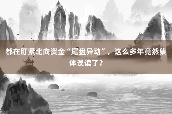 都在盯紧北向资金“尾盘异动”，这么多年竟然集体误读了？