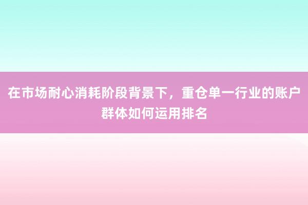 在市场耐心消耗阶段背景下,重仓单一行业的账户群体如何运用排名