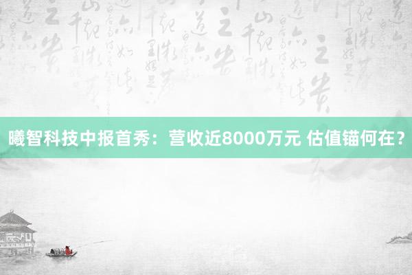 曦智科技中报首秀：营收近8000万元 估值锚何在？