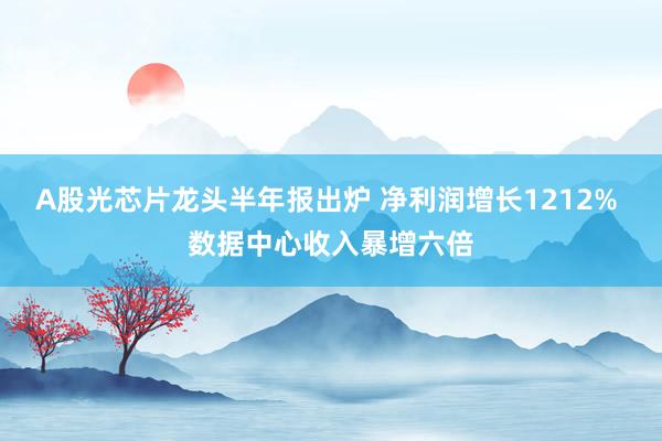 A股光芯片龙头半年报出炉 净利润增长1212% 数据中心收入暴增六倍