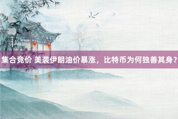 集合竞价 美袭伊朗油价暴涨,比特币为何独善其身?