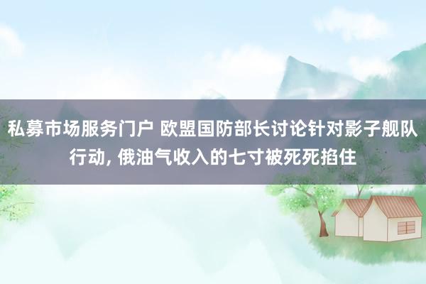 私募市场服务门户 欧盟国防部长讨论针对影子舰队行动, 俄油气收入的七寸被死死掐住