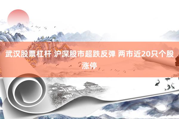 武汉股票杠杆 沪深股市超跌反弹 两市近20只个股涨停