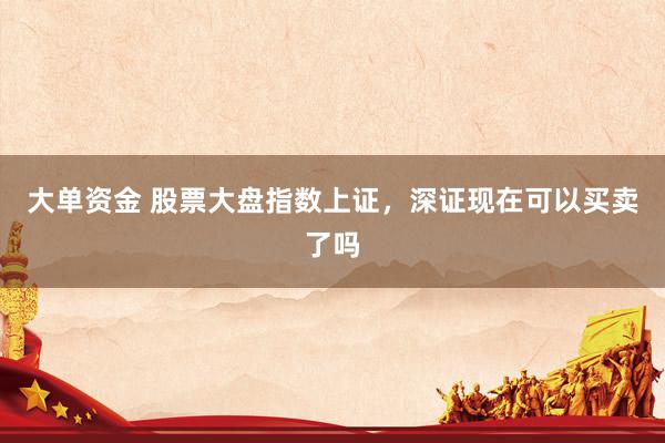 大单资金 股票大盘指数上证，深证现在可以买卖了吗