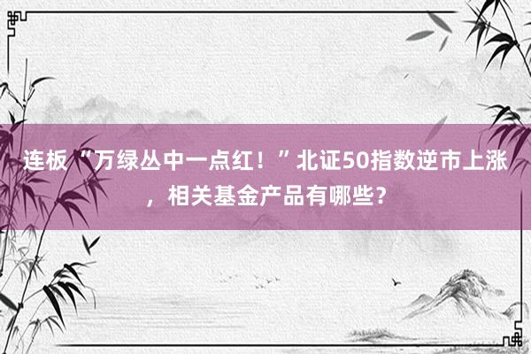 连板 “万绿丛中一点红！”北证50指数逆市上涨，相关基金产品有哪些？
