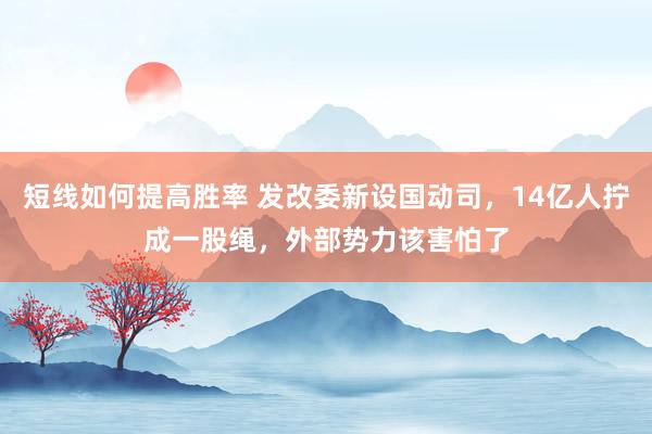 短线如何提高胜率 发改委新设国动司，14亿人拧成一股绳，外部势力该害怕了