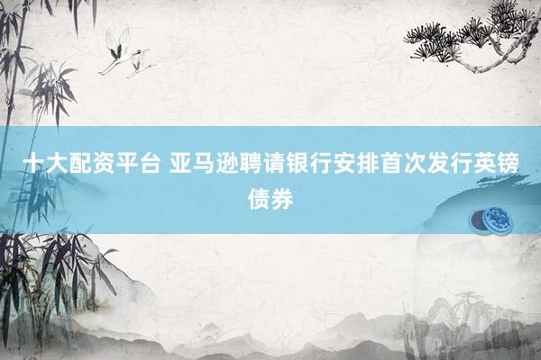 十大配资平台 亚马逊聘请银行安排首次发行英镑债券