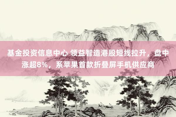 基金投资信息中心 领益智造港股短线拉升，盘中涨超8%，系苹果首款折叠屏手机供应商
