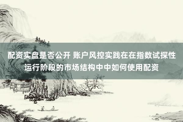 配资实盘是否公开 账户风控实践在在指数试探性运行阶段的市场结构中中如何使用配资