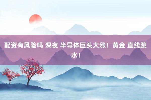 配资有风险吗 深夜 半导体巨头大涨！黄金 直线跳水！