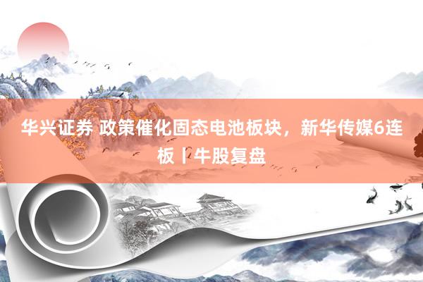华兴证券 政策催化固态电池板块，新华传媒6连板丨牛股复盘