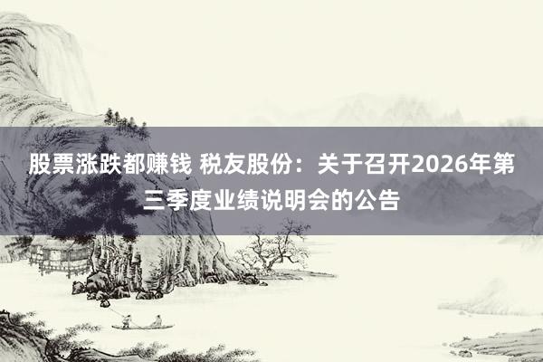股票涨跌都赚钱 税友股份：关于召开2026年第三季度业绩说明会的公告