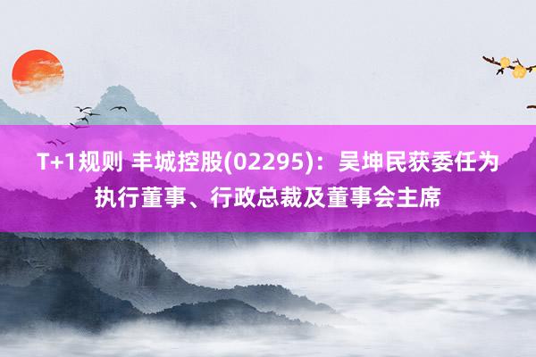 T+1规则 丰城控股(02295)：吴坤民获委任为执行董事、行政总裁及董事会主席